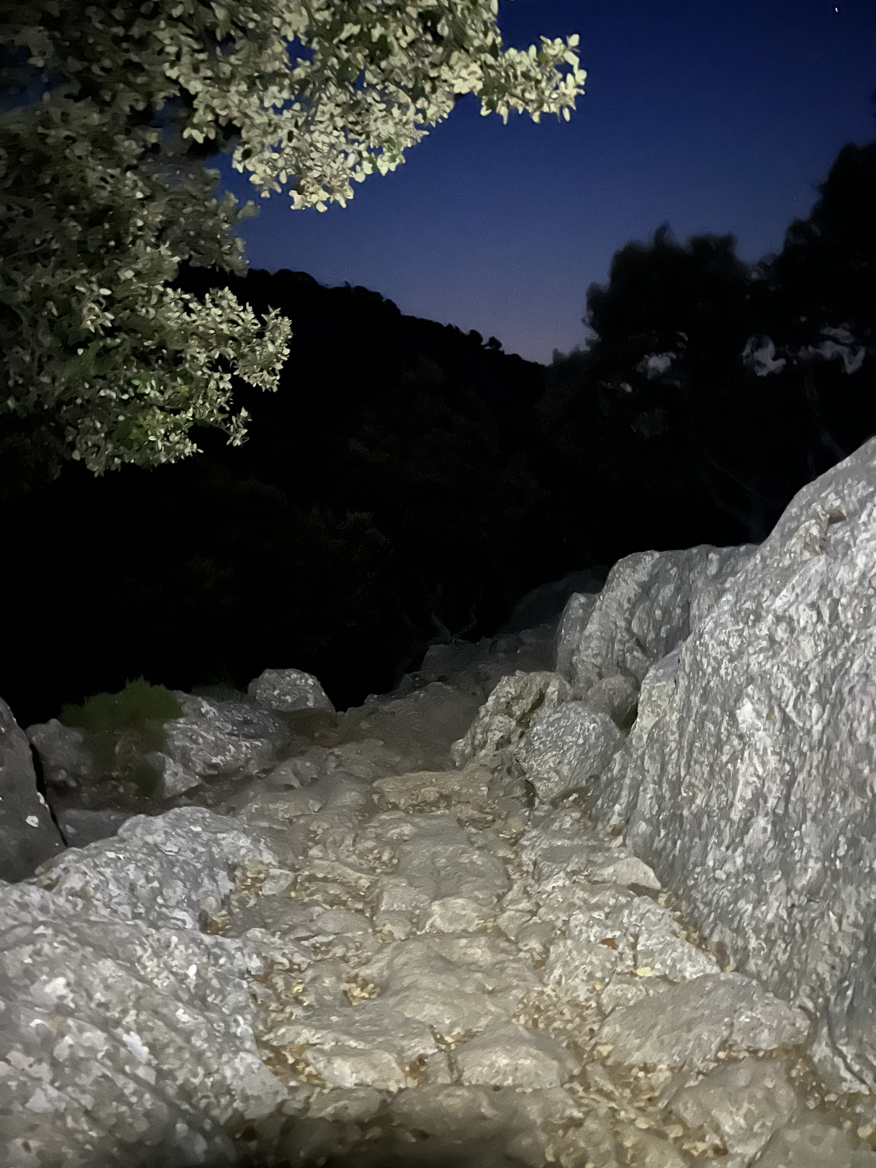 Panoramic view from the Tramuntana range
